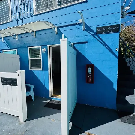 Penny Lane Studio - Cozy Oasis With Fire Pit Dunedin Exterior photo
